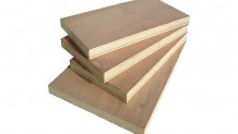 Kayın Plywood